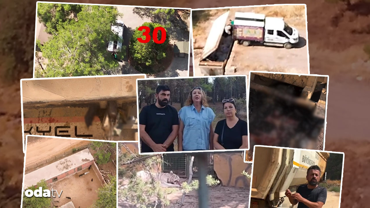 gaziantepte neler oluyor kopek ve esekleri aslanlara mi yedirdiler iddiasi belediyeden aciklama FZaqSe8z