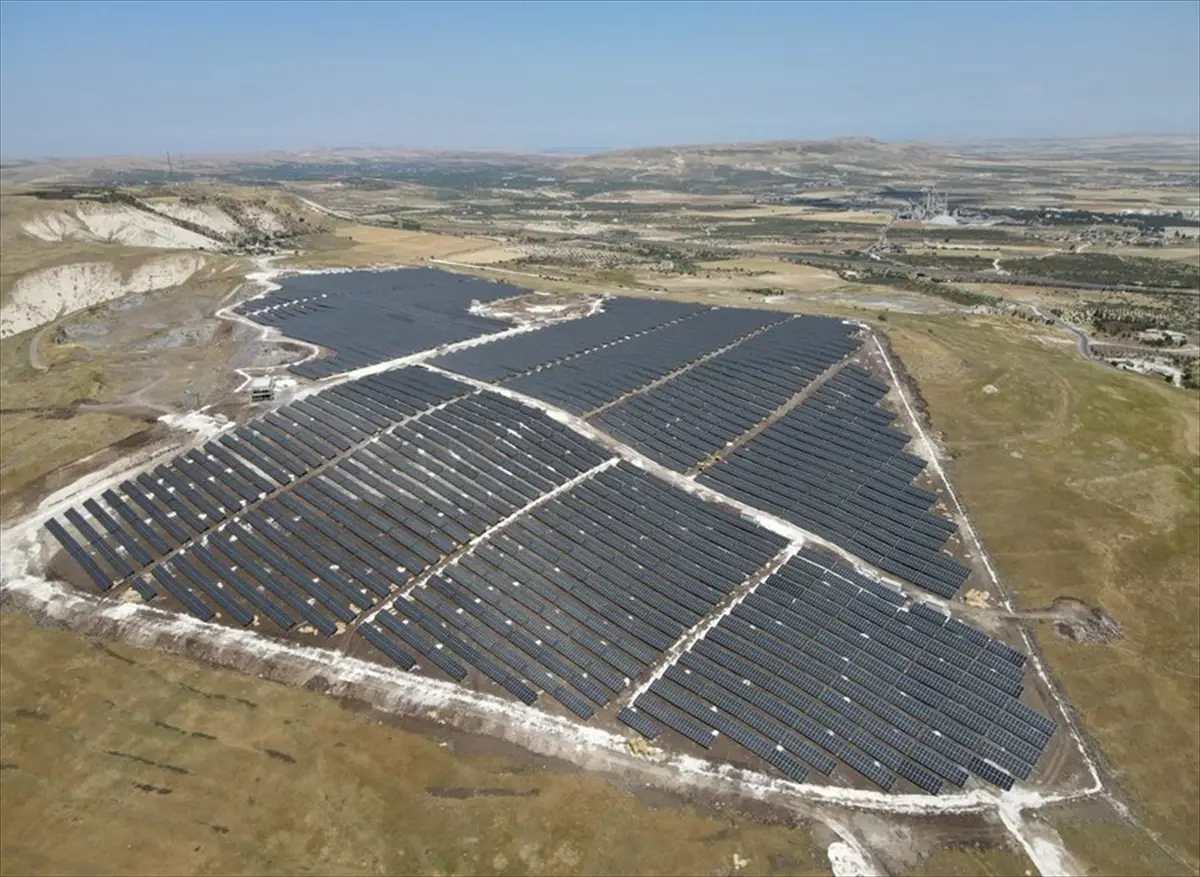 nesli tukenme tehlikesindeki cizgili sirtlan goruntulendi aS9W6Pvr