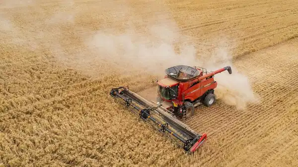 tuik eylul verilerini acikladi tarimda uretici fiyatlari yukseldi g4ejAbcb.jpg