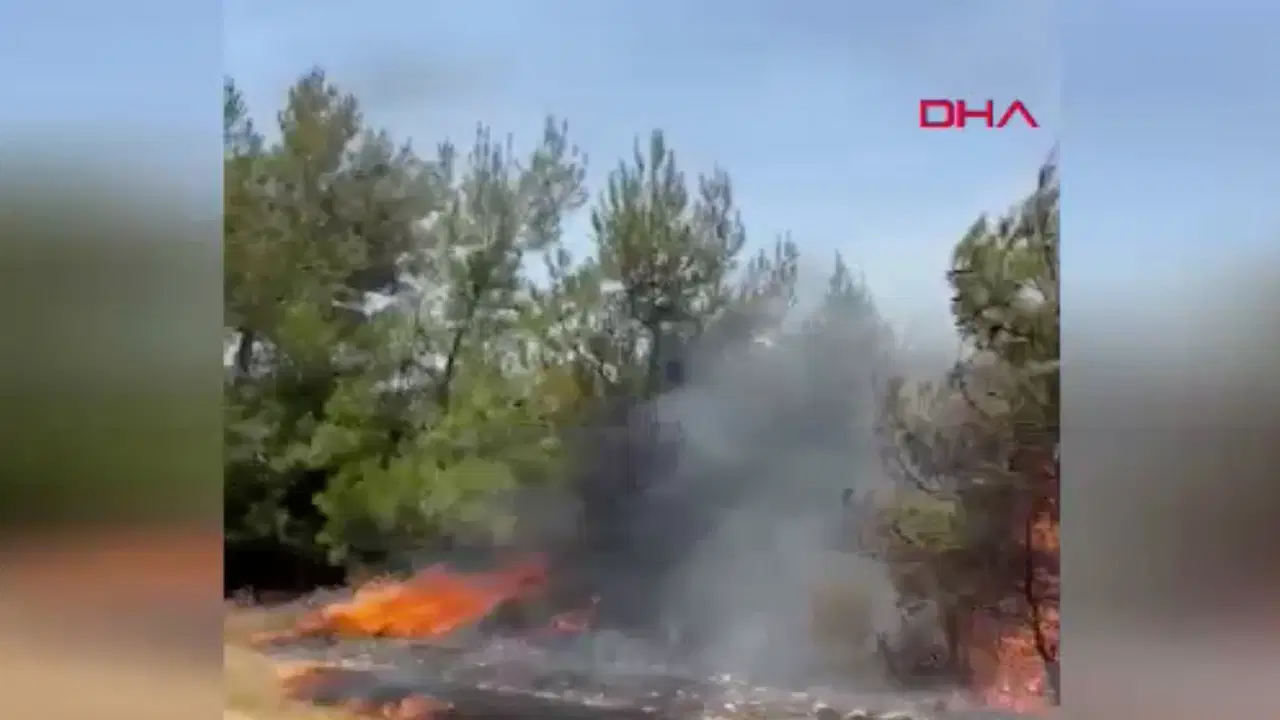 Muğla’da tarım arazisinde çıkan yangın ormana sıçradı